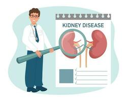 A male doctor with a magnifying glass examines diseases of the kidneys, urinary system. Medical healthcare concept. Vector