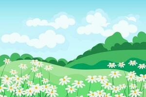 Spring-summer landscape, chamomile meadows and trees against the sky with clouds. Illustration, background, vector