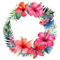 Watercolor tropical wreath isolated. Illustration png