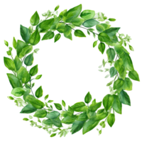 Green leaves watercolor wreath isolated. Illustration png