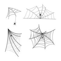 Hand drawn spider web or cobweb with hanging spider. Vector illustration