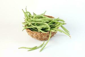 Green French bean photo