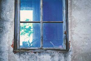 Dirty old window with wooden frame in gray concrete wall with visible green plant and dark curtain in a room inside and a window light on the other side of the building photo