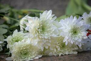 White chrysanthemum bouquet flowers lying on brown marble background photo