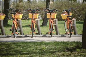 Orange bicycles standing in a row for rental on pavement between lawns photo