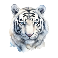 Watercolor white tiger animal isolated on transparent background. Generative AI png