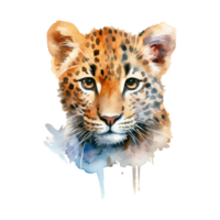 Watercolor leopard isolated on transparent background. png