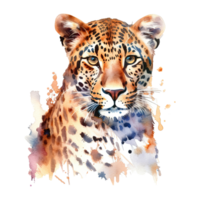 Watercolor leopard isolated on transparent background. png