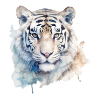 Fundo Transparente De Tigre Branco 3d PNG , 3d, Animal, Fundo Transparente  PNG Imagem para download gratuito