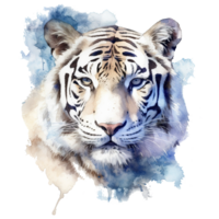 Watercolor white tiger animal isolated on transparent background. Generative AI png