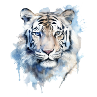 Watercolor white tiger animal isolated on transparent background. png