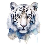 Watercolor white tiger animal isolated on transparent background. png