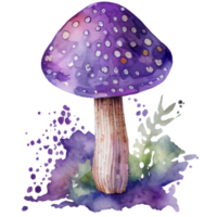 Watercolor Toadstool Mushroom Clipart Sublimation png