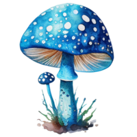 aquarelle champignon vénéneux champignon clipart sublimation png