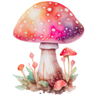 Watercolor Toadstool Mushroom Clipart Sublimation png