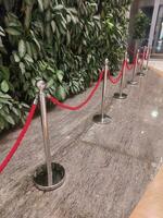 dorado cerca puntal con rojo barrera cuerda, terciopelo cerca para Entrada a cine club y VIP salón foto