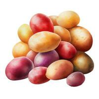 Potato tubers isolated on white background.  Watercolor illustration, ai generation. photo