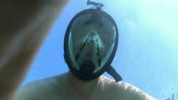 homens snorkeling dentro a oceano video