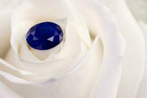 Blue Sapphire Gemstone on White Rose Petals photo