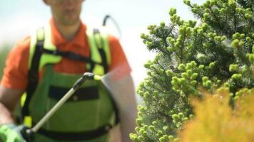 printemps temps insecticide jardin des arbres. les plantes santé se soucier video