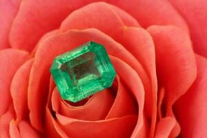 Emerald Stone on Pink Rose Flower Petals photo