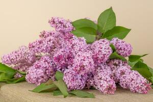 Violet Pink Lilac Flowers Bouquet on Table photo