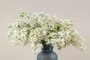 White Lilac Flowers in Vase photo