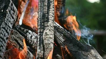 camping pas feu de camp. brûlant bois journaux proche en haut. video