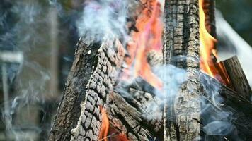 brûlant feu de camp bois journaux proche en haut video