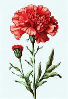 Red carnation flower drawing isolated on white background. Watercolor, hand drawn style, ai generation photo