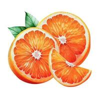 slice of orange isolated on white background.  Watercolor illustration, ai generation. photo