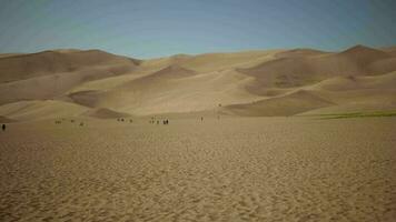 Tourist Wandern Colorado großartig Sand Dünen video