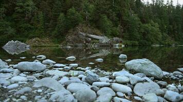 rocheux séquoia rivière lit video