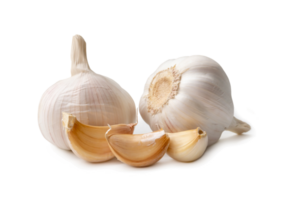 Single fresh white garlic bulb with segments is isolated with clipping path and shadow in png file format, Thai herb great for healing several severe diseases, heart attack,