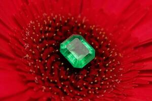 Emerald Stone on Pink Rose Flower Petals photo