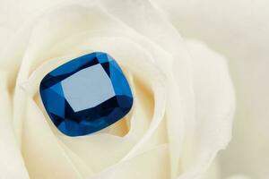 Blue Sapphire Gemstone on White Rose Petals photo