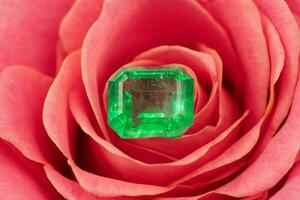 Emerald Stone on Pink Rose Flower Petals photo