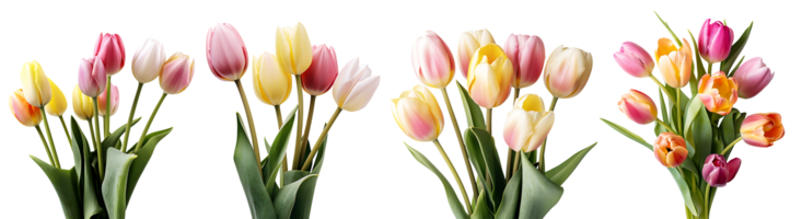 Bündel von Tulpen Blumen auf transparent Hintergrund, generativ ai Technologie png