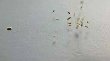 seco aneto sementes derramando dentro Preto superfície fechar-se com câmera lenta video