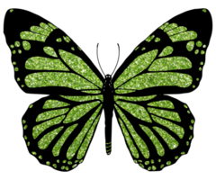 green glitter butterfly png