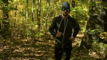 Jeune caucasien Beau Hommes dans le sien 30s le jogging dans une forêt pendant tomber saison. video
