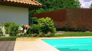 lavoratore l'applicazione torba rotoli nel Giardino dietro la casa. video