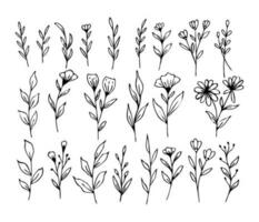 A collection of hand drawn leaves and flower decorative floral element vector