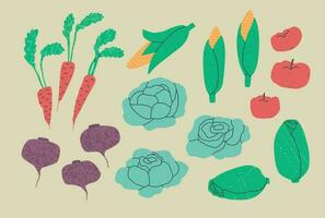 Set of various vegetables - cabbage, carrots, beets, corn, tomatoes, iceberg lettuce. Vector flat trend illustration with textures.