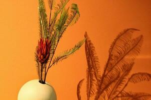 Leaves of fern in white vase with embossed deep shadows in sunlight on a orange background wall. Minimal modern interior decoration. Eco nature concept. Botanical design. photo