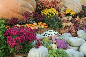 calabazas y otoño vegetales en un justo. cosecha hora en un granja. otoño festival de Fresco orgánico vegetales. festivo decoración en jardín. agricultura mercado. rural escena. vegetariano y vegano comida día. foto