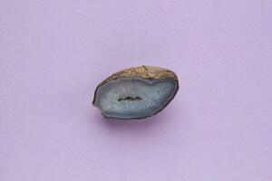Natural violet amethyst druse geode mineral crystal polished semi-precious gemstone on purple background. Magic rock for witchcraft, spiritual practice, meditation. Esoteric life balance concept photo