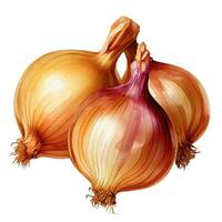 Onion isolated on white background.  Watercolor illustration, ai generation. photo