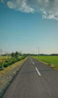 view of the road in the rice field blur photo