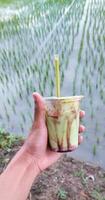 male hand holding avocado juice with rice field background. photo